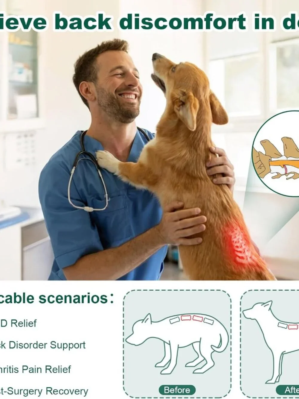 Dog Back Brace for IVDD, Arthritis, Slipped and Herniated Discs